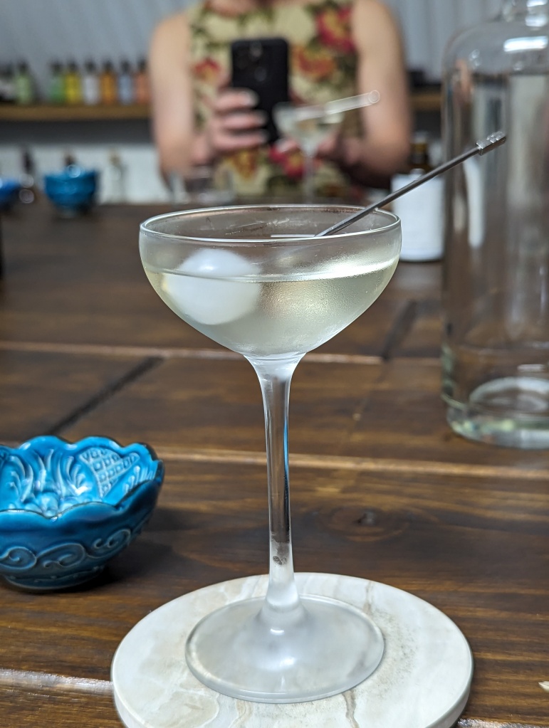 Image of the Gibson cocktail